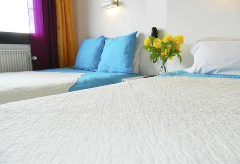 스탠다드 싱글 룸, Paris Star