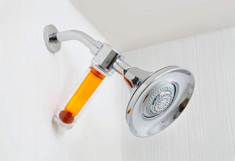 带大床的套房, Residence Inn By Marriott Orlando Lake Nona