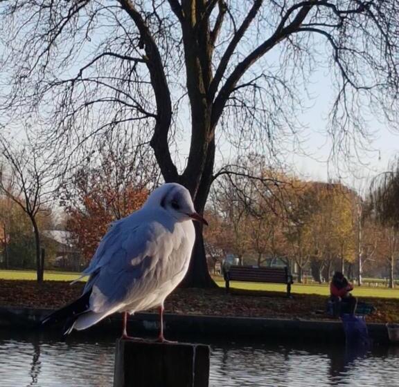 חדר משפחתי, Penryn Guest House, Ensuite Rooms, Free Parking And Free Wifi