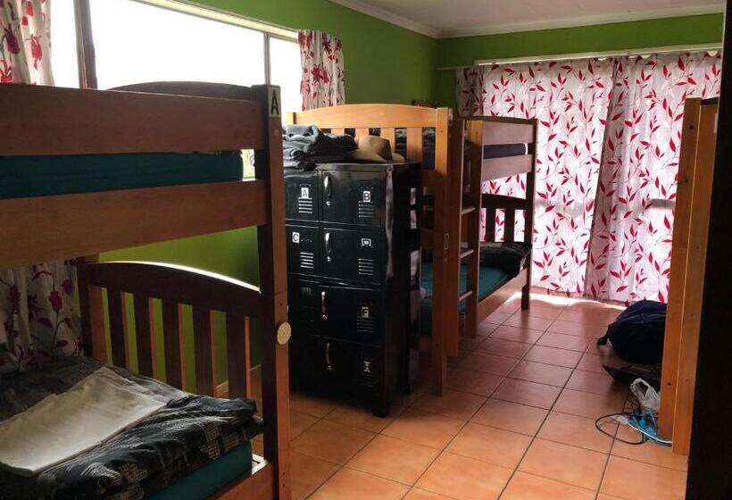 מיטה בחדר משותף, The Bug Backpackers