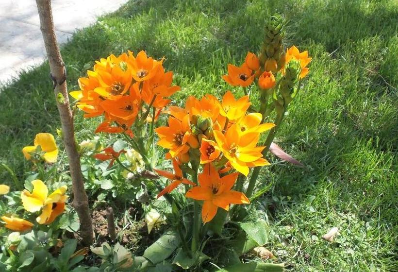 豪华房间, B&b Garda 4u