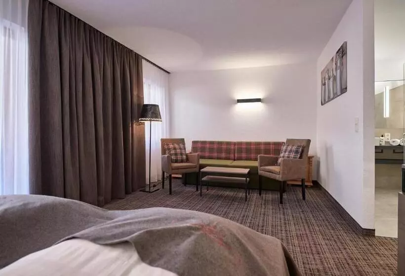 スーペリアールーム, Panoramahotel Fliesserhof