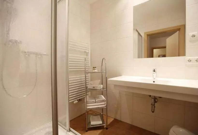 Standard Yhden Hengen Huone, Premium Wanderhotel Steirerhof
