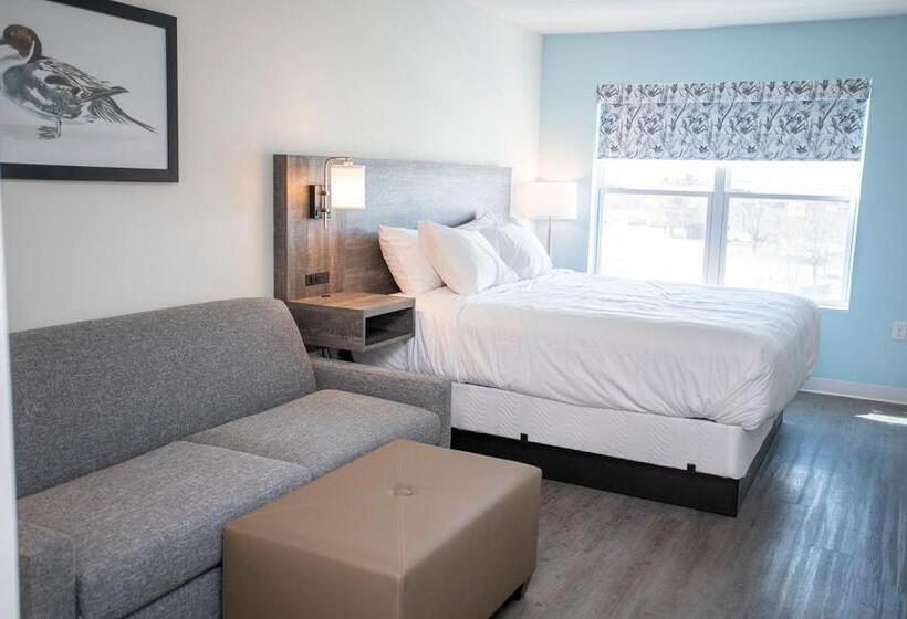 جناح ديلوكس سرير كينج, The Nest