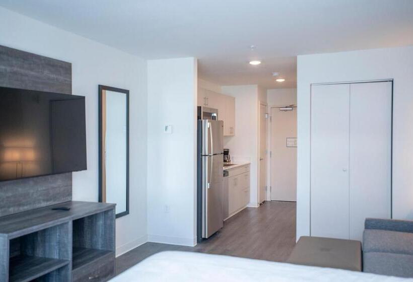 إستوديو قياسى, The Nest