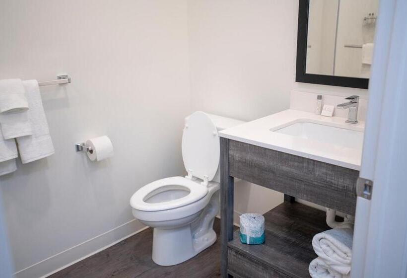 إستوديو قياسى, The Nest