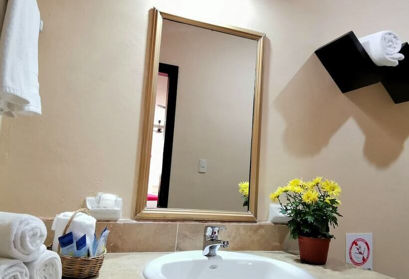 Номер Стандарт, Casa Pellegrin