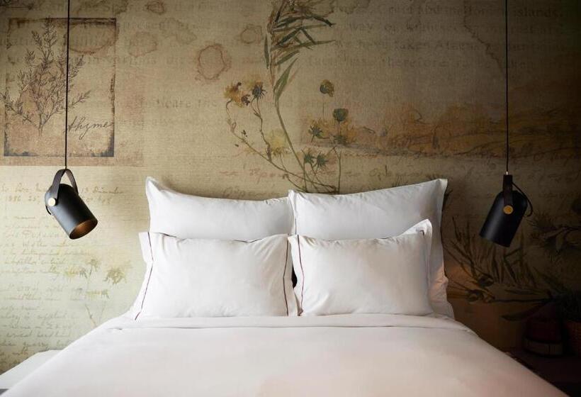 エクゼクティブルーム, Anise, Aluma Hotels & Resorts