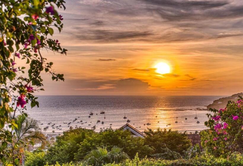 スタンダードルーム, Alcazar