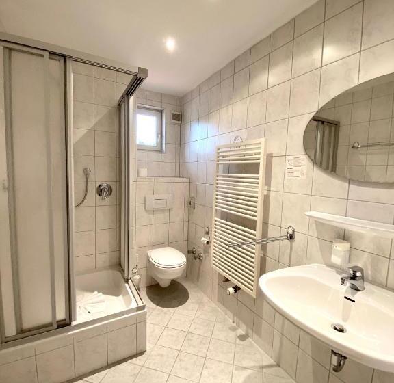 Номер Стандарт Индивидуальный, Bergstätter Hof