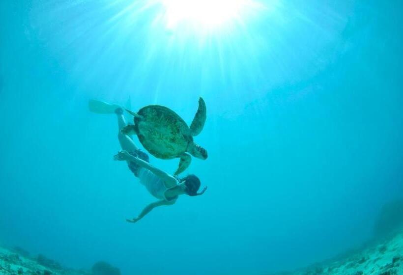 Номер Стандарт Вид на Море, Breeze Bay Marina