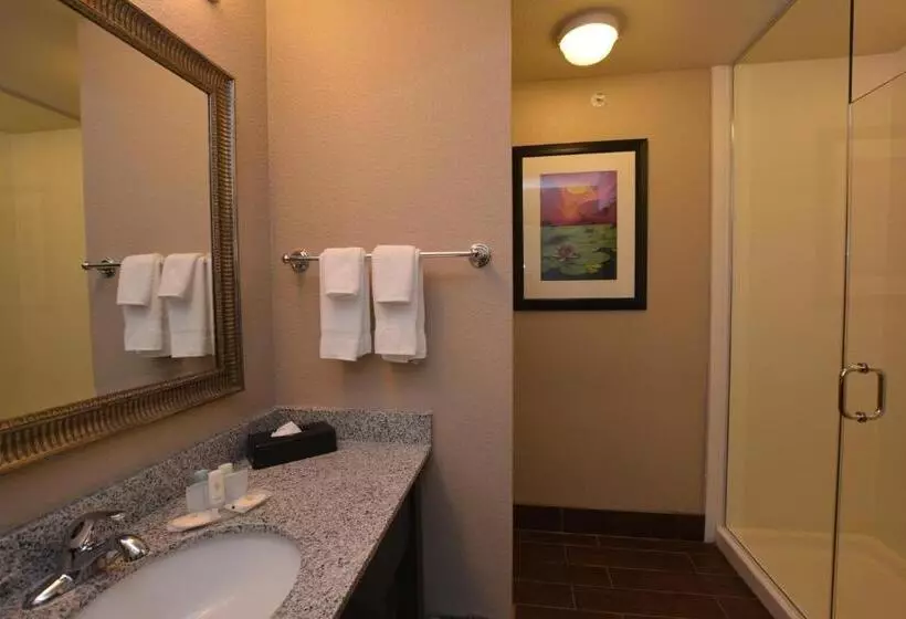キングサイズベッドのスタンダードルーム, Comfort Inn & Suites Newcastle  Oklahoma City