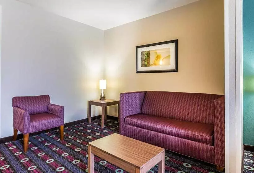 キングサイズベッドのスイートルーム, Comfort Inn & Suites Newcastle  Oklahoma City