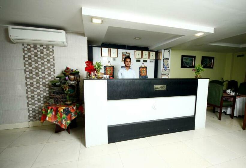 اتاق اکونومی, New Hotel Panda