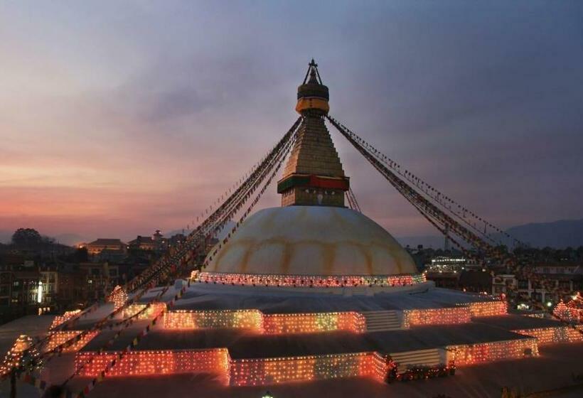 اتاق اکونومی, New Hotel Panda