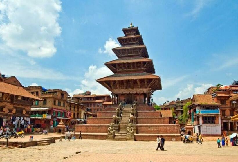 اتاق اکونومی, New Hotel Panda