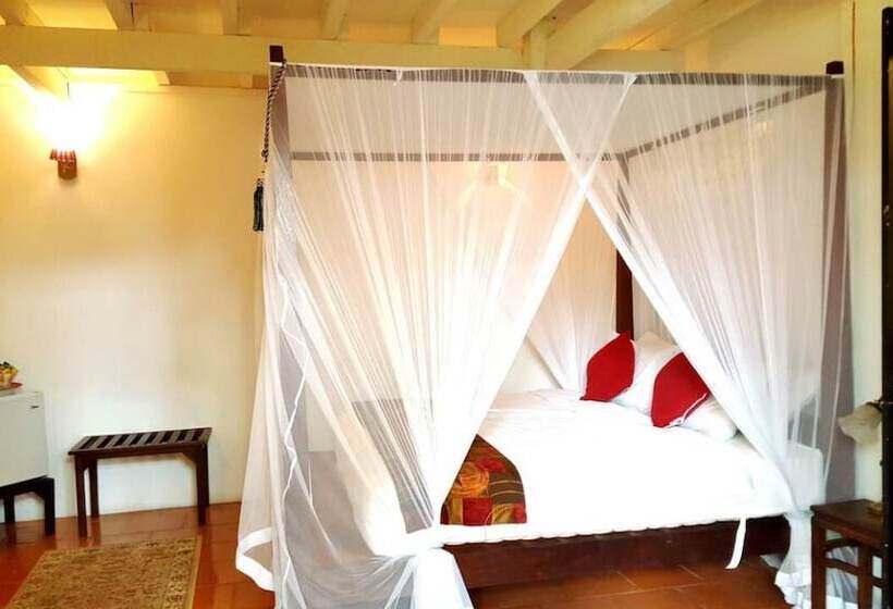 디럭스 스위트, Noordin Street House