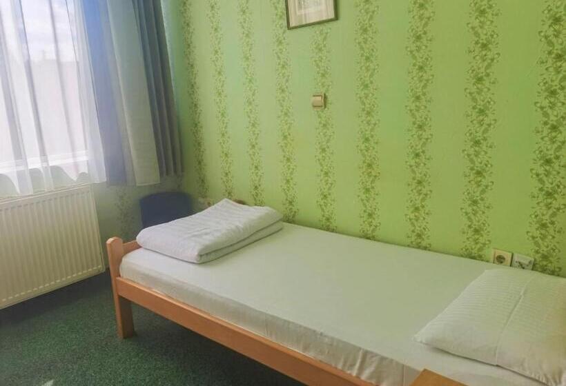 اتاق استاندارد یک نفره, Slodes