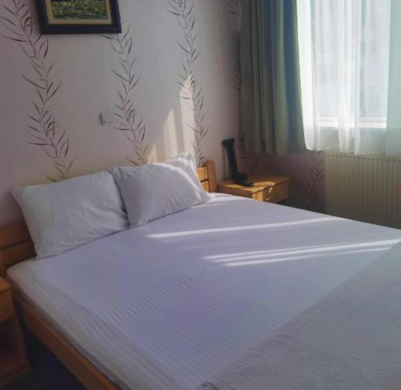 اتاق استاندارد, Slodes