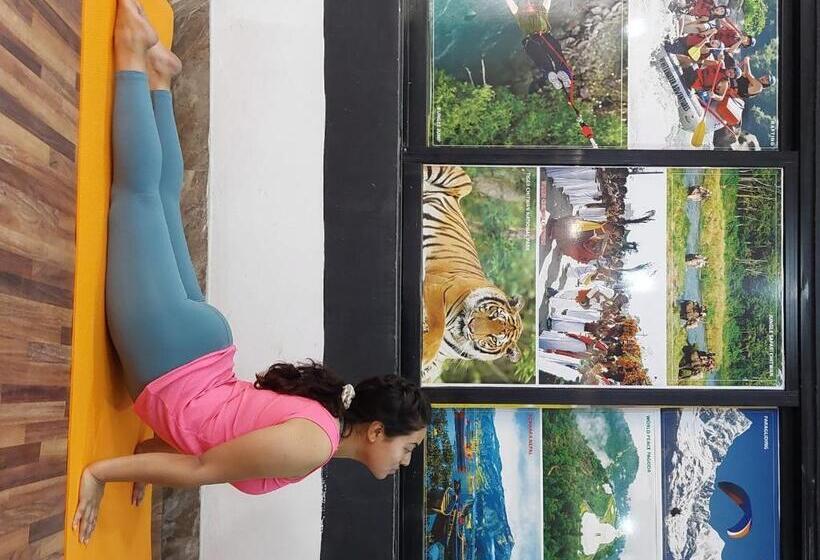 اتاق لوکس خانوادگی, New Hotel Panda