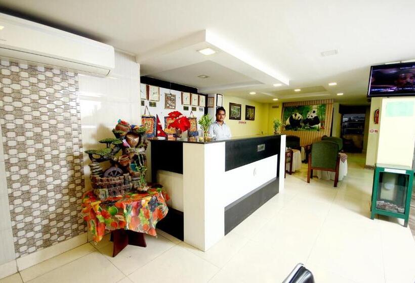 اتاق لوکس خانوادگی, New Hotel Panda