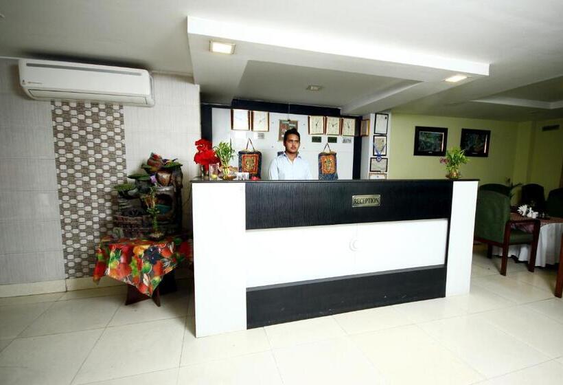 اتاق لوکس, New Hotel Panda