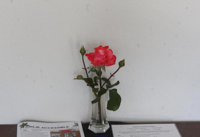 חדר סטודיו סטנדרד, Aorangi Motel