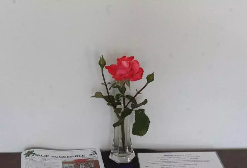 Standard-studio, Aorangi Motel