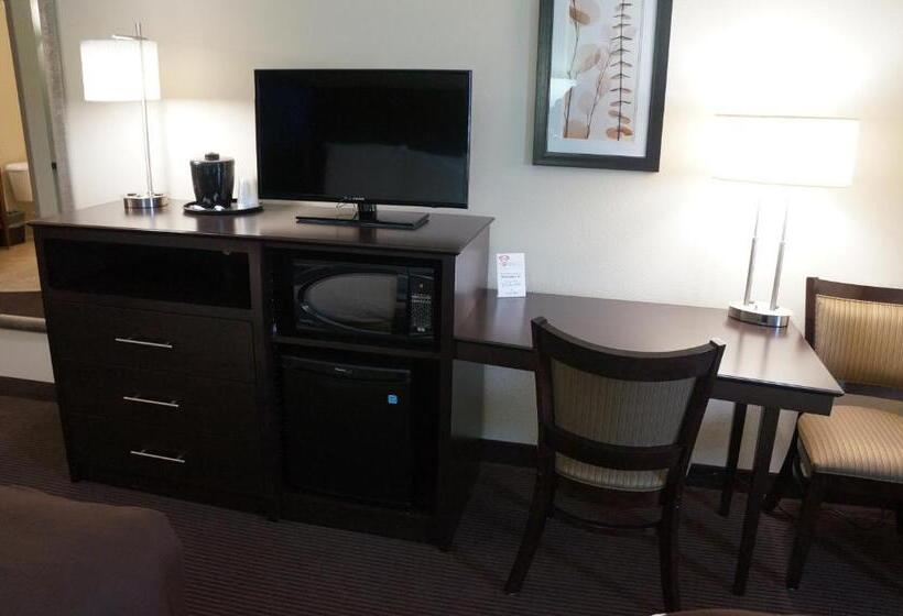 장애인을 위한 킹사이즈 침대 스탠다드 룸, Americinn By Wyndham Sibley