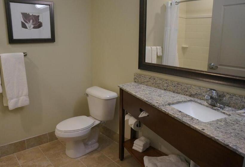 스탠다드 스튜디오 킹침대, Americinn By Wyndham Sibley