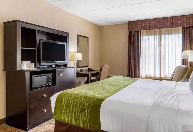 キングサイズベッドのスタンダードルーム, Comfort Inn Warner Robins   Robins Air Force Base Area