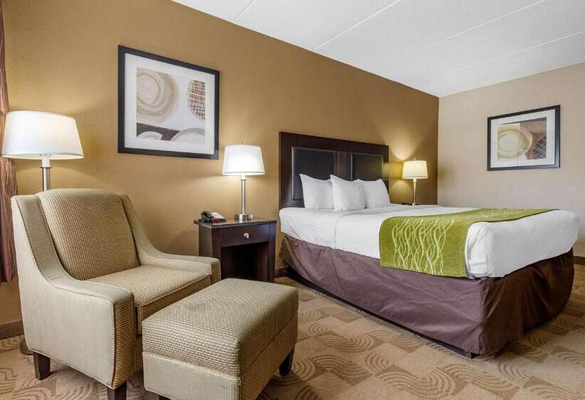 스탠다드 룸 킹사이즈 침대, Comfort Inn Warner Robins Robins Air Force Base Area