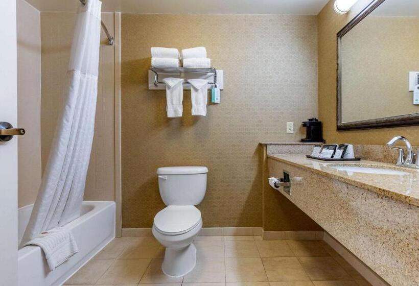 스탠다드 룸, Comfort Inn Warner Robins Robins Air Force Base Area