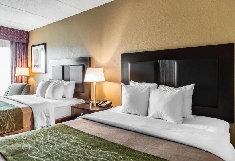 스탠다드 룸, Comfort Inn Warner Robins Robins Air Force Base Area