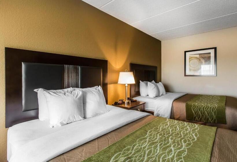 Номер Стандарт, Comfort Inn Warner Robins   Robins Air Force Base Area