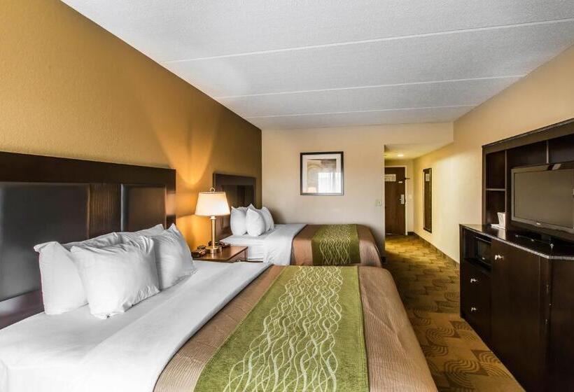 스탠다드 룸, Comfort Inn Warner Robins Robins Air Force Base Area