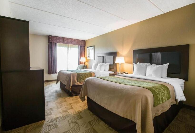 스탠다드 룸, Comfort Inn Warner Robins Robins Air Force Base Area