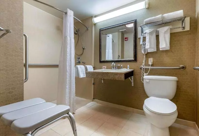 身障者適用キングサイズベッドルーム, Comfort Inn Warner Robins   Robins Air Force Base Area