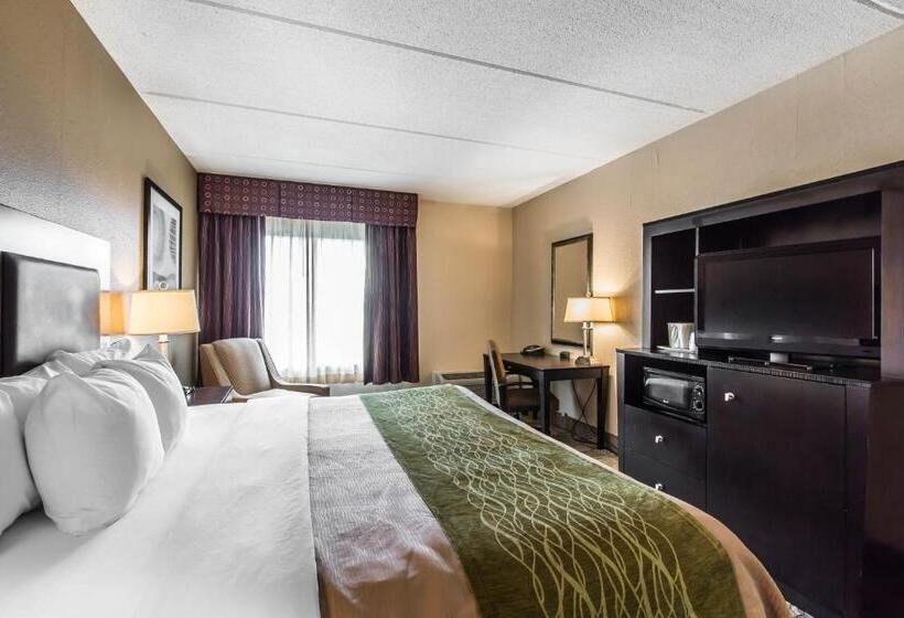 Номер Стандарт Кровать Кинг Адаптированный для Инвалидов, Comfort Inn Warner Robins   Robins Air Force Base Area