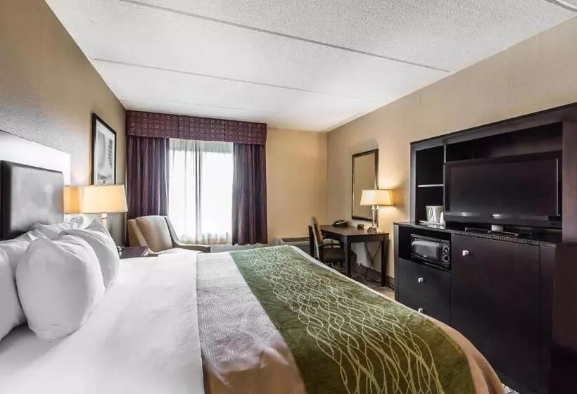 身障者適用キングサイズベッドルーム, Comfort Inn Warner Robins   Robins Air Force Base Area