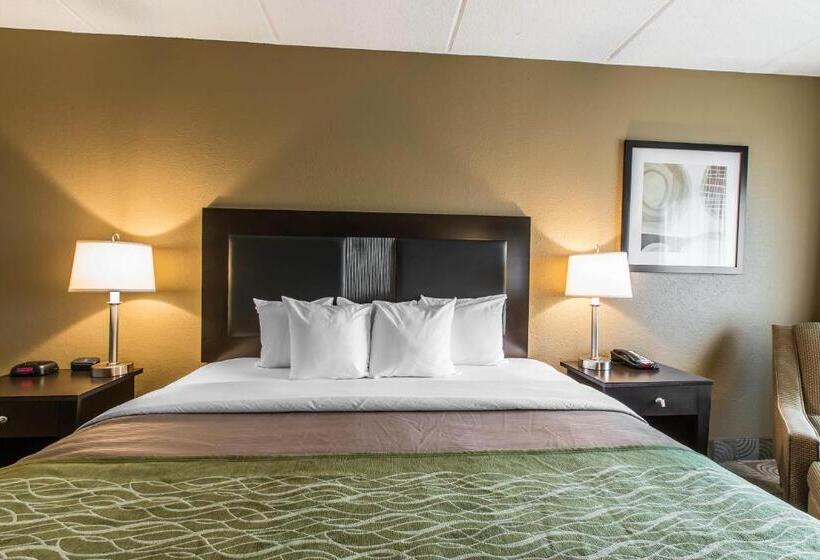 장애인을 위한 킹사이즈 침대 스탠다드 룸, Comfort Inn Warner Robins Robins Air Force Base Area