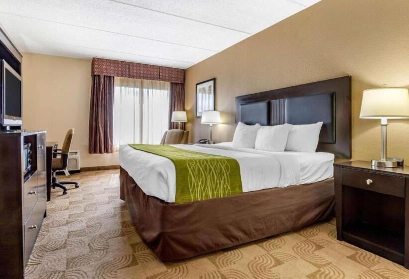 장애인을 위한 킹사이즈 침대 스탠다드 룸, Comfort Inn Warner Robins Robins Air Force Base Area