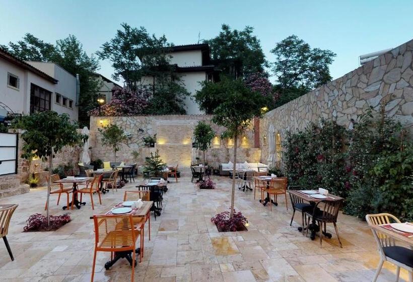 اتاق استاندارد سه تخته با چشمانداز باغ, Patron