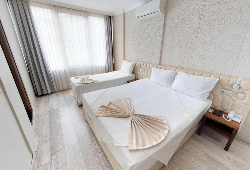 اتاق استاندارد سه تخته با چشمانداز باغ, Patron