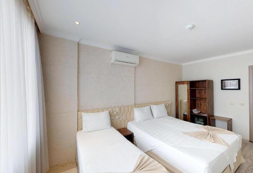 اتاق استاندارد سه تخته با چشمانداز باغ, Patron