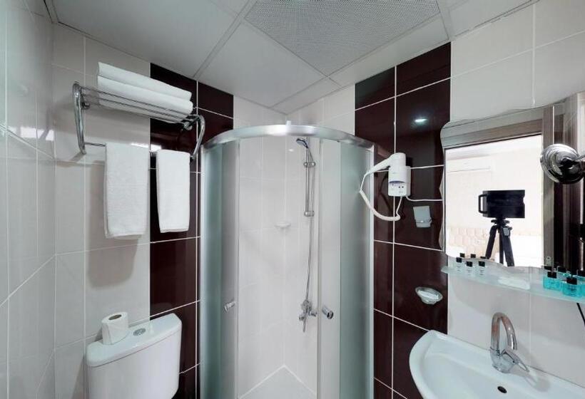 اتاق استاندارد سه تخته با چشمانداز باغ, Patron