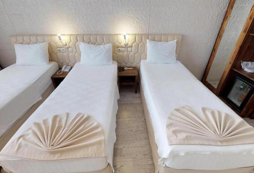 اتاق استاندارد سه تخته با چشمانداز باغ, Patron