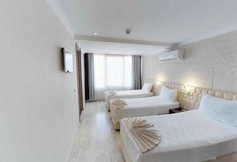 اتاق استاندارد سه تخته با چشمانداز باغ, Patron