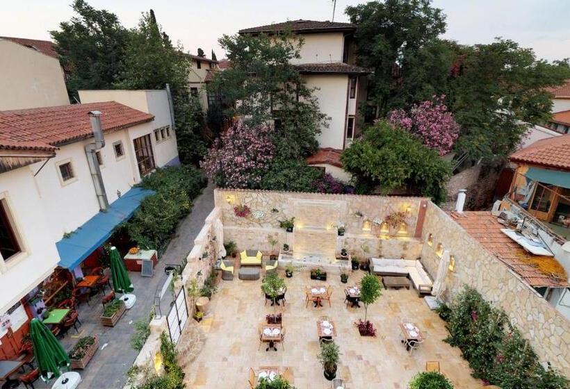 اتاق استاندارد, Patron