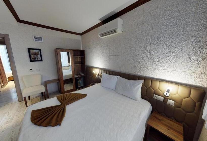 اتاق استاندارد, Patron